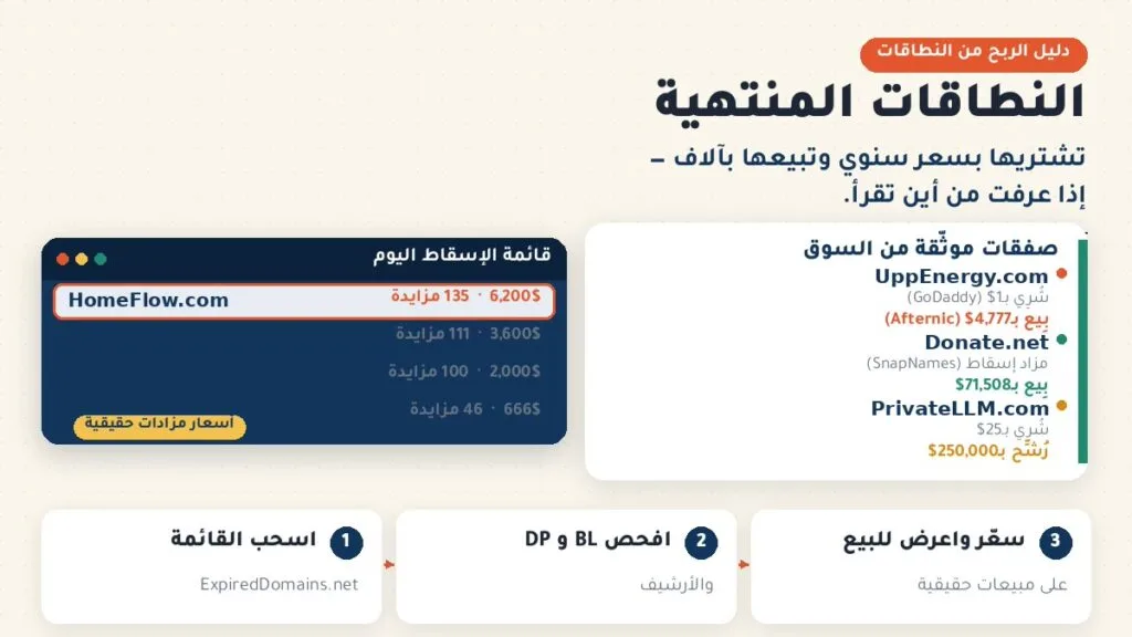 النطاقات المنتهية: تشتريها بسعر سنوي وتبيعها بآلاف — قائمة الإسقاط اليومية وصفقات موثّقة من السوق